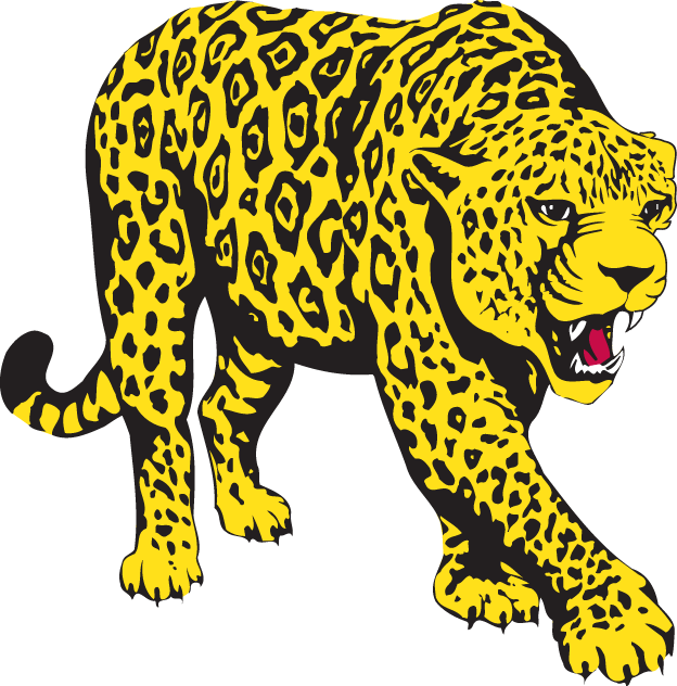 South Alabama Jaguars 1993-2007 Partial Logo v3 iron on transfers for fabric